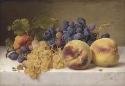 Johann Wilhelm Preyer A Still Life with Peaches and Grapes on a Marble Ledge oil painting on canvas